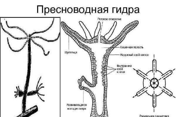 Маркет даркнет